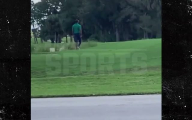 WON’T HE DO IT: Tiger Woods Seen Walking On His Own, First Time Since Car Crash