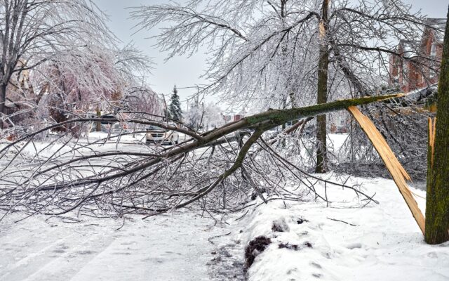 What To Do If You Lose Power During The Ice Storm