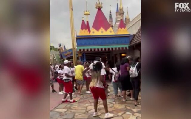 Happiest Place On Earth Took A Turn After Family Brawl At Magic Kingdom