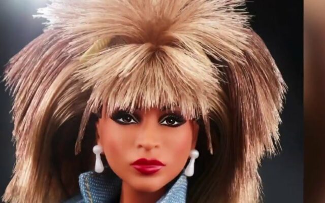 Tina Turner’s Barbie Sells Out In One Day