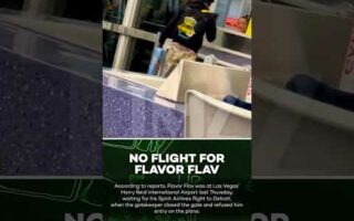 Southwest Airlines Offers Flavor Flav Lifetime Of Free Flights